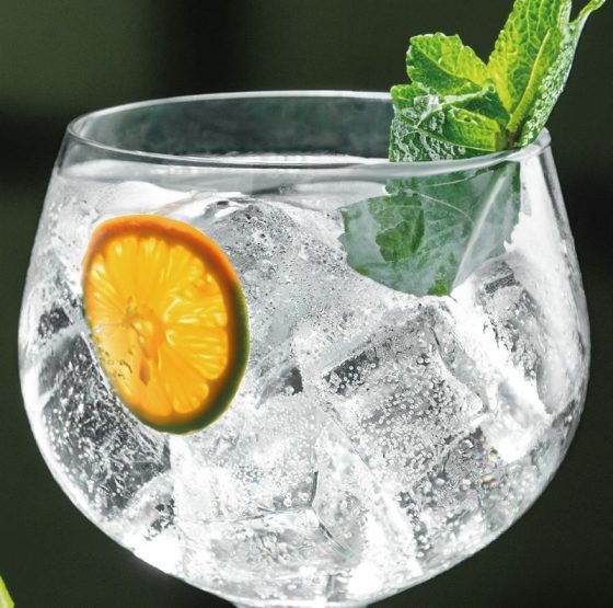 Noite do Gin e da Caipirinha 2025, no Mercado Municipal