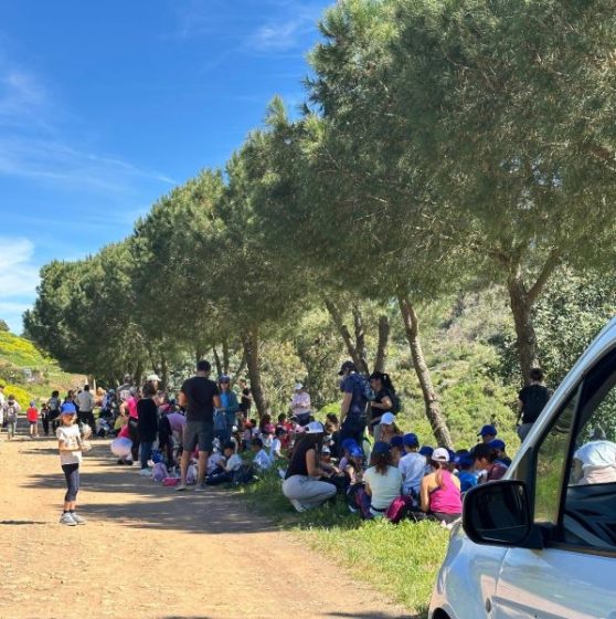 Junta apoiou a “Caminhada pela Floresta”