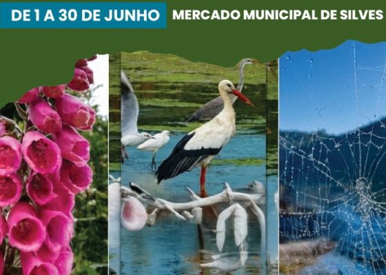 Exposição “A Biodiversidade do Algarve”, no Mercado de Silves