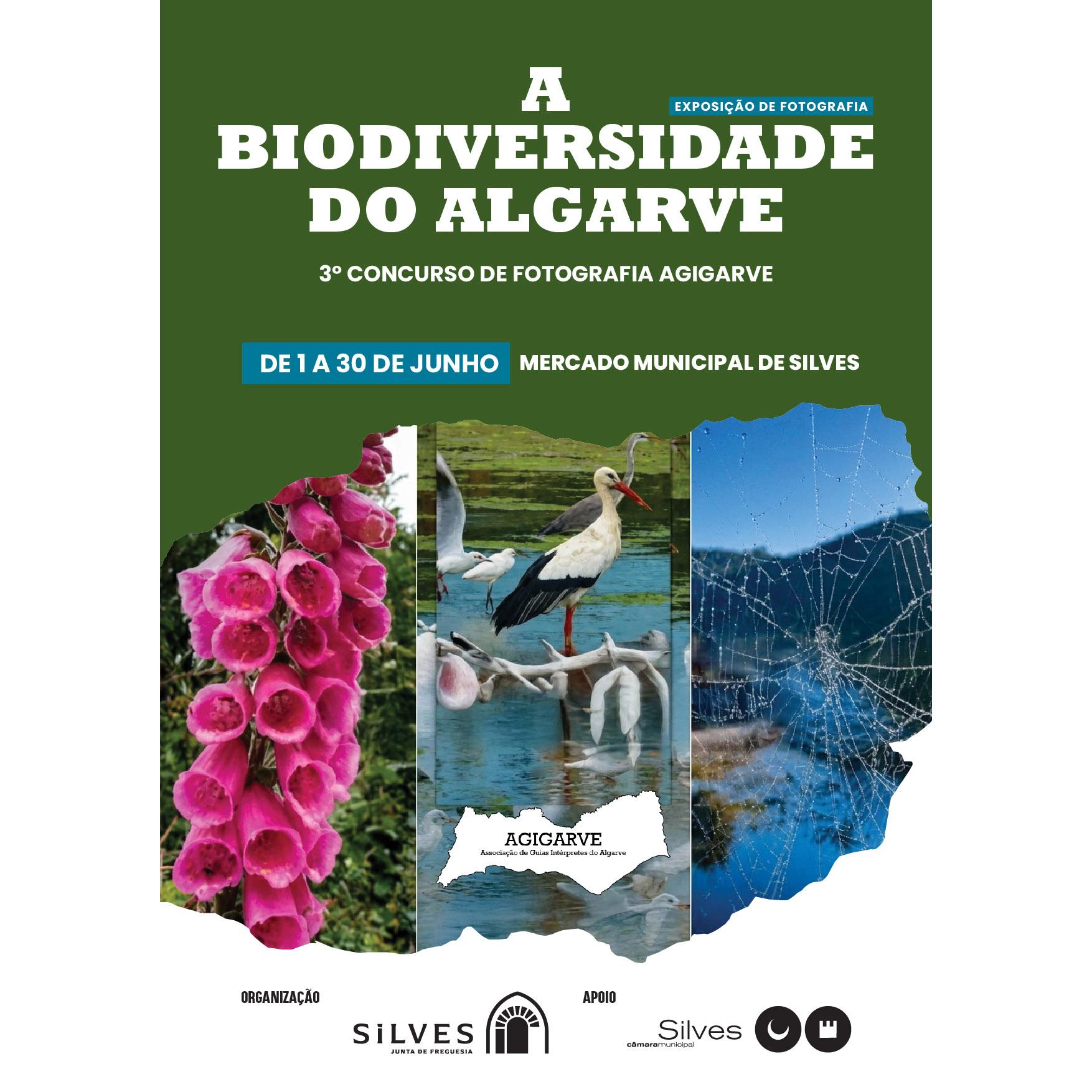CartazA4_AGIGARVE