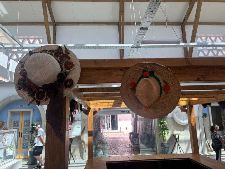 Chapeus_005