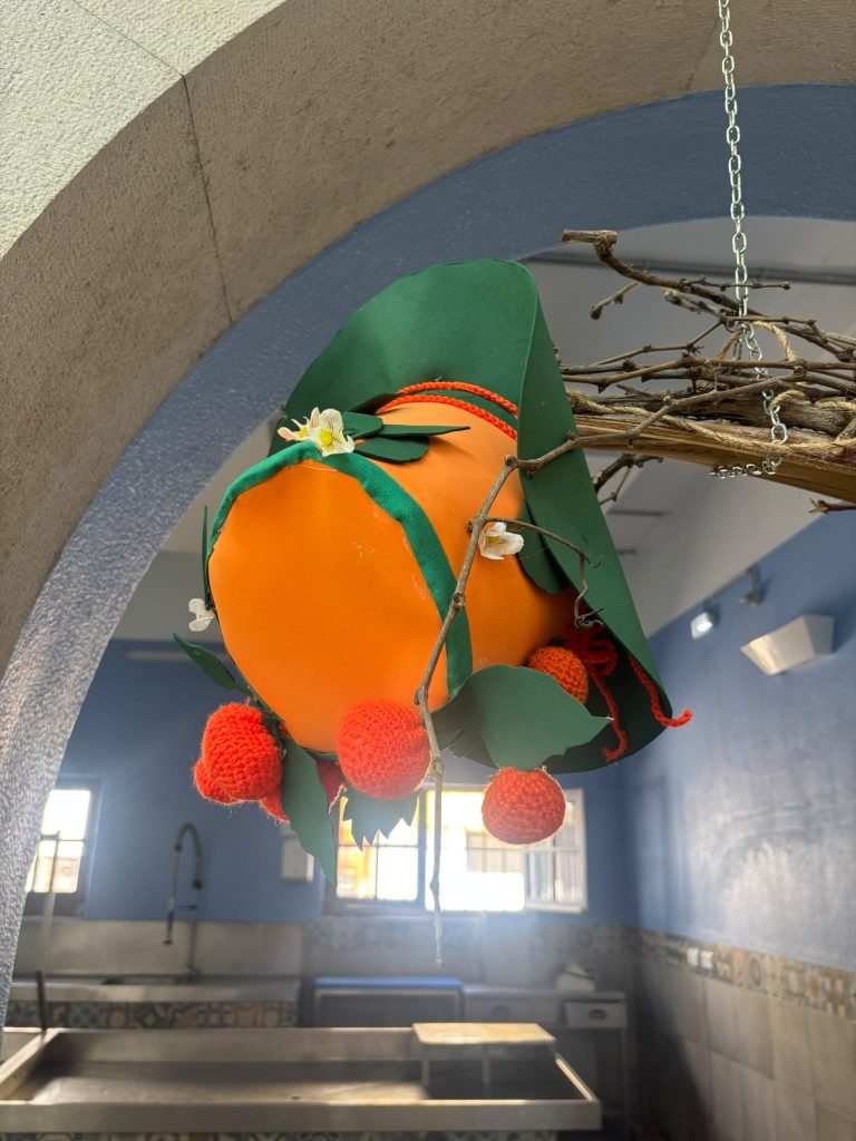 Chapeus_015