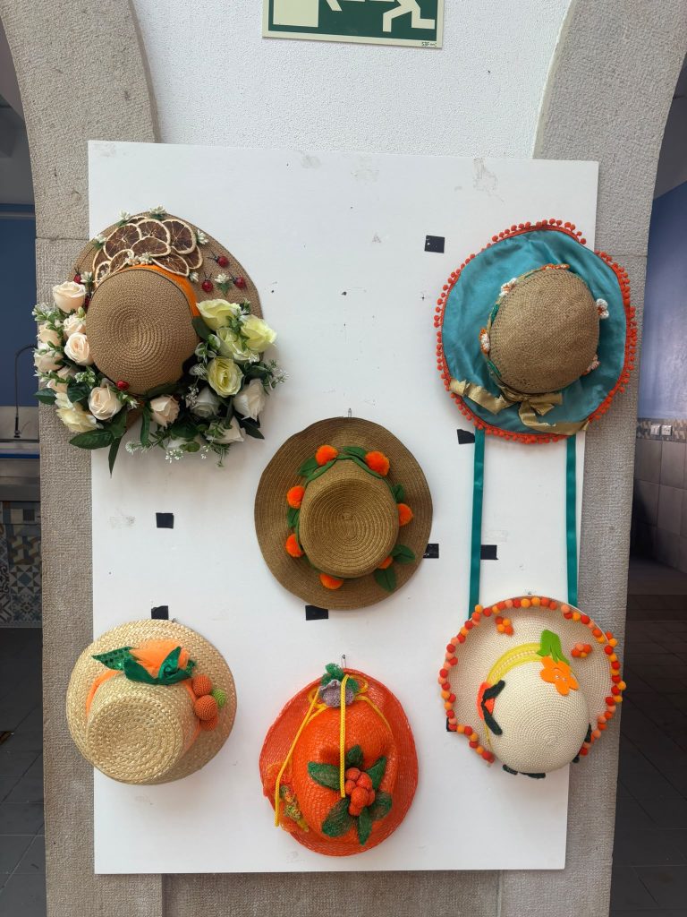 Chapeus_017
