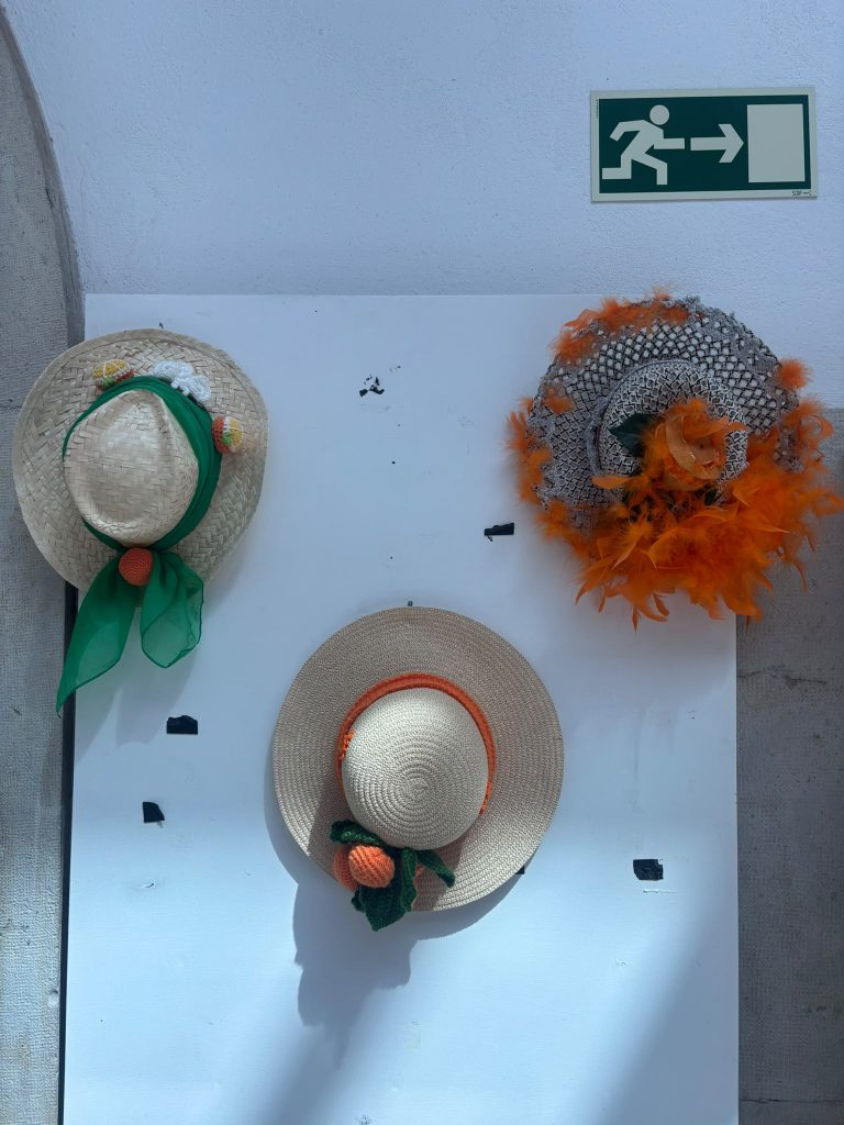 Chapeus_022