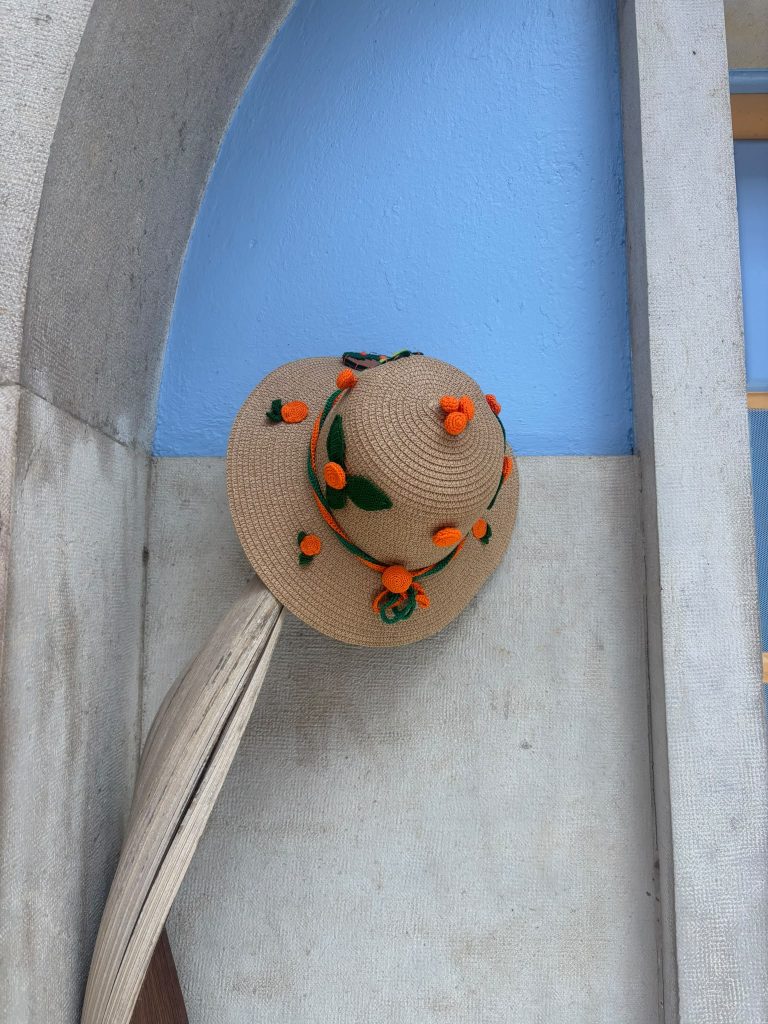 Chapeus_023